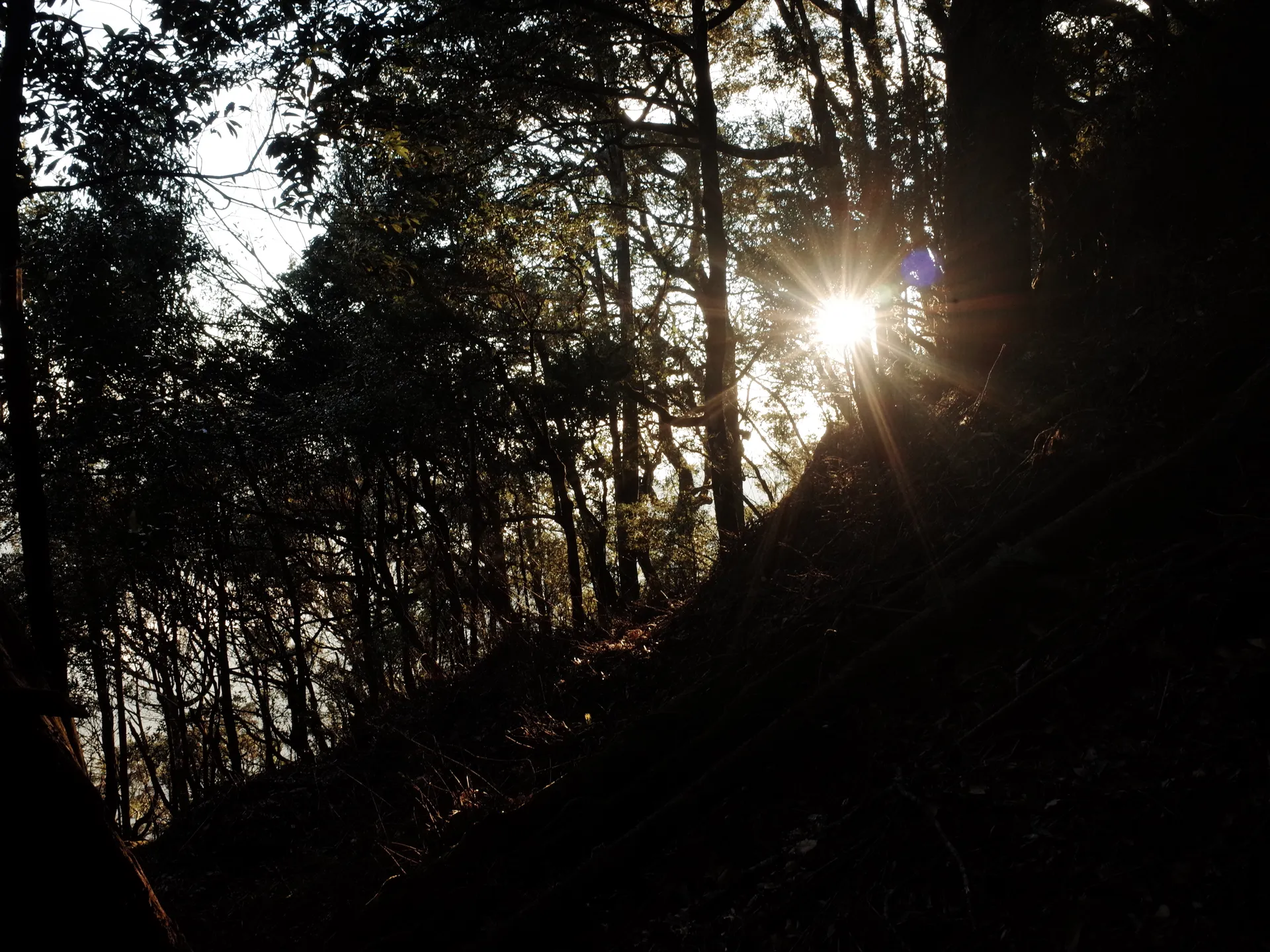 加里山風美溪 3 天 2 夜